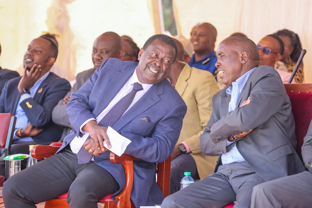 Mudavadi Urges Nyanza Leaders to Declare Their Stand